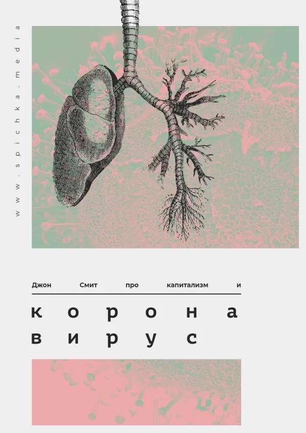 Обложка к статье. Схема лёгких человека. Джон Смит про коронавирус